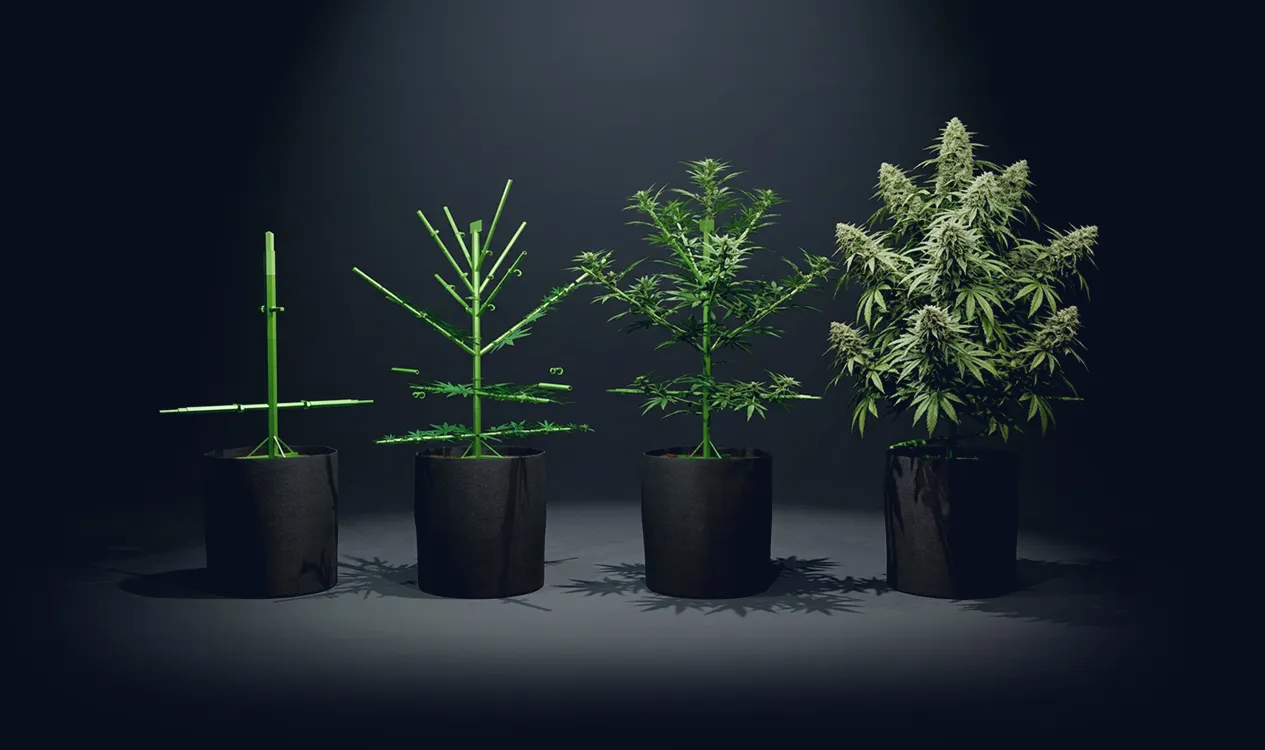 Modular cannabis plant support system